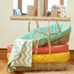 Clair De Lune Moses Baskets & Stands Colour Pop Palm Moses Basket