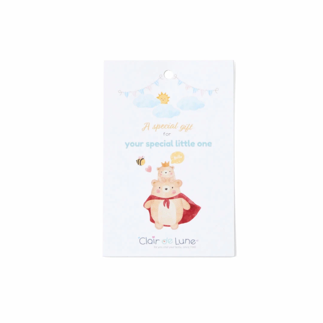 Clair De Lune Stars & Stripes Baby Gift Bag Bathing & Feeding