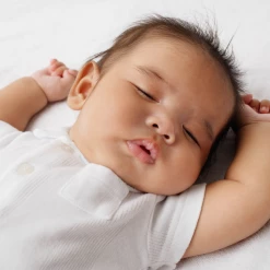 Clair De Lune Bedside Crib Mattress Protector Award Winning Bedside Cribs