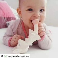 Bathing & Feeding Tikiri Meiya The Mouse All Rubber Squeaker