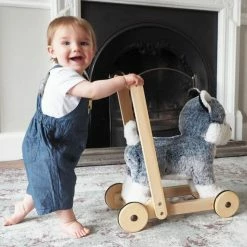 Little Bird Told Me Mishka Dog Push Along